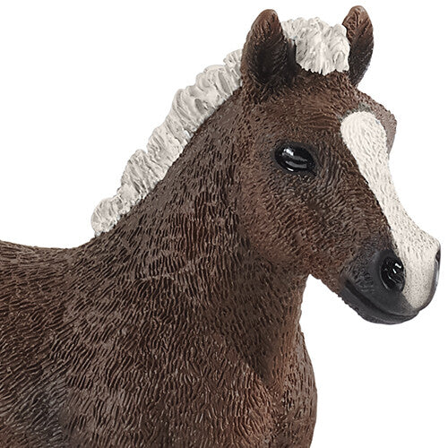 schleich farm world schwartzwälder veulen - 7,5 cm | 13899 | 1
