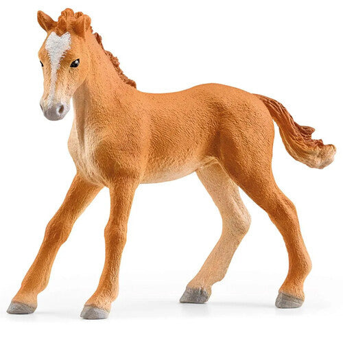 schleich horse club manege | 42567 | 16