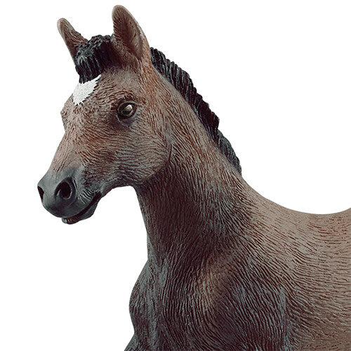 schleich horse club paso peruano veulen - 9,5 cm | 13954 | 1