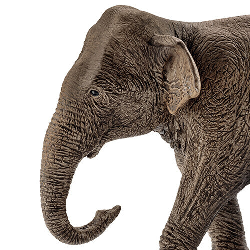 schleich wild life aziatische olifantenkoe - 13 cm | 14753 | 1