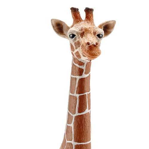 schleich wild life giraffe koe - 17 cm | 14750 | 1