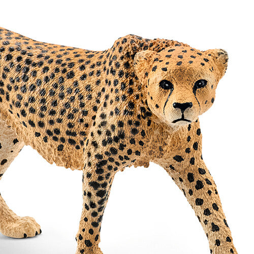 schleich wild life jachtluipaard - 9,5 cm  | 14746 | 1
