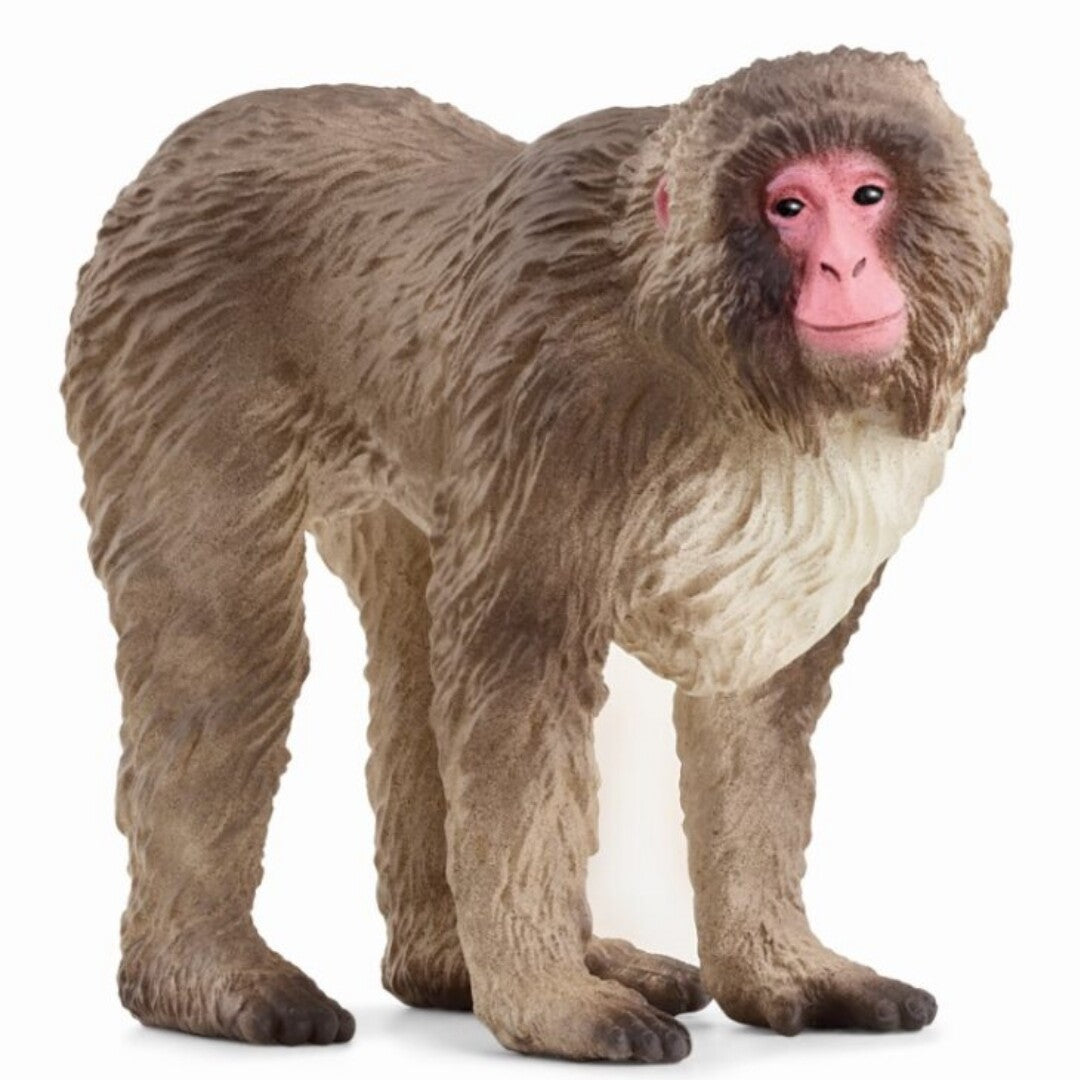 schleich wild life japanse makaak - 5,5 cm | 14871 | 0