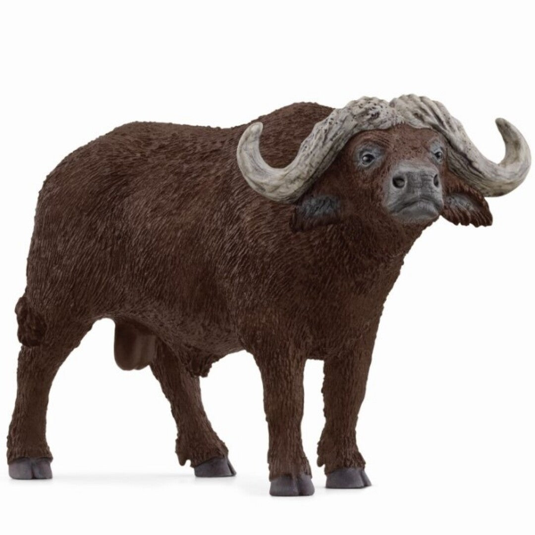 schleich wild life kafferbuffel - 13 cm | 14872 | 0
