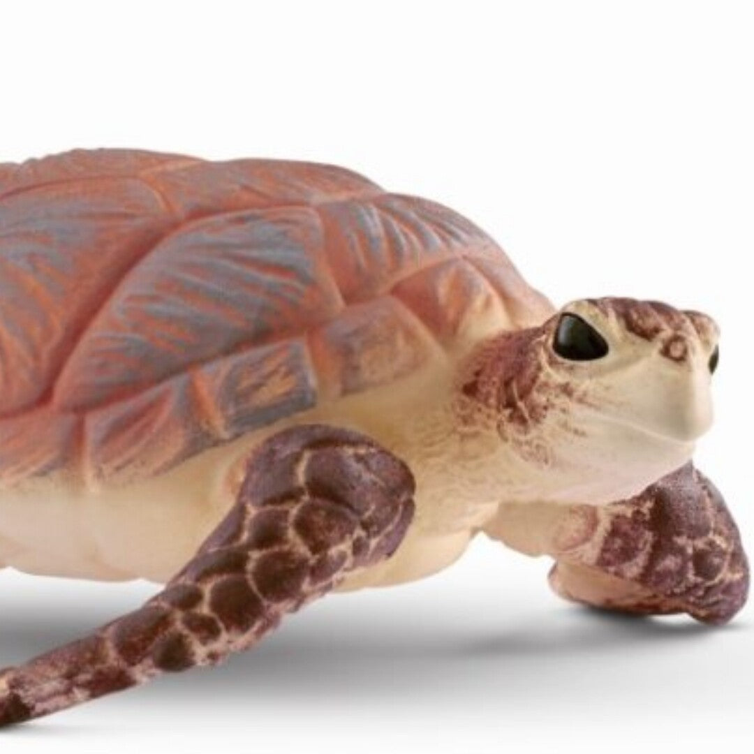 schleich wild life karetschildpad - 5,5 cm | 14876 | 1