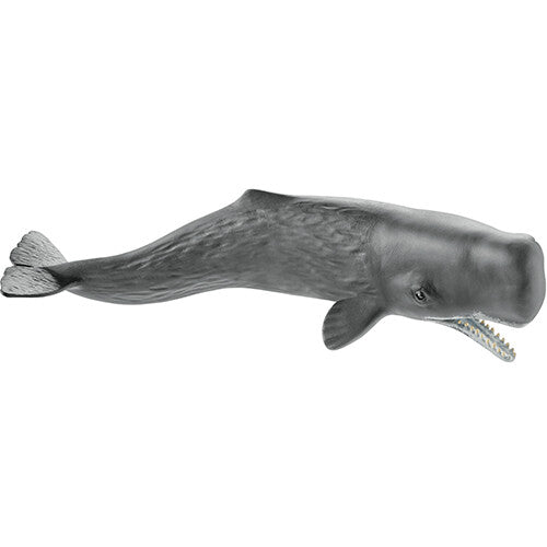 schleich wild life potvis - 23,5 cm | 14764 | 0