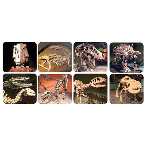 scratch europe projectiezaklamp dino | 6182327 | 6
