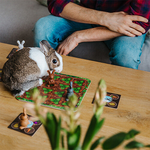 smart games familiespel grabbit | SGM 510 | 5