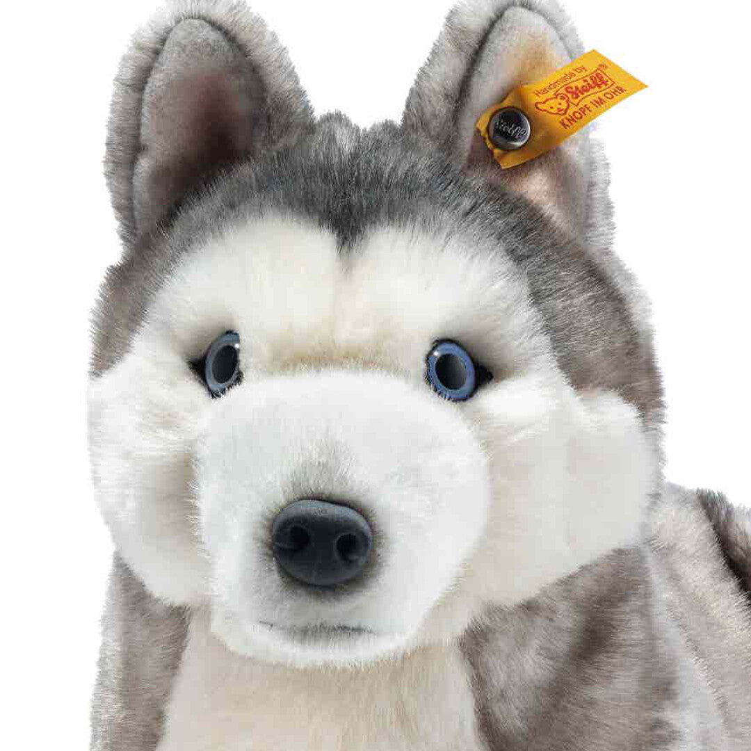 steiff knuffelhond husky bernie - 33 cm | 67891 | 1