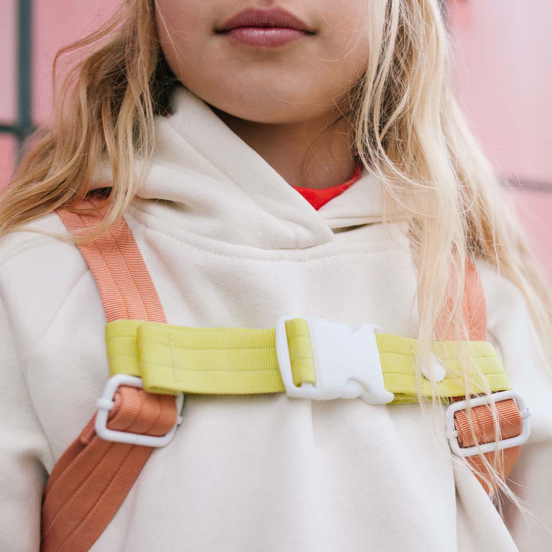 sticky lemon borstriem voor rugzak - rosette pink | 1802263 | 1