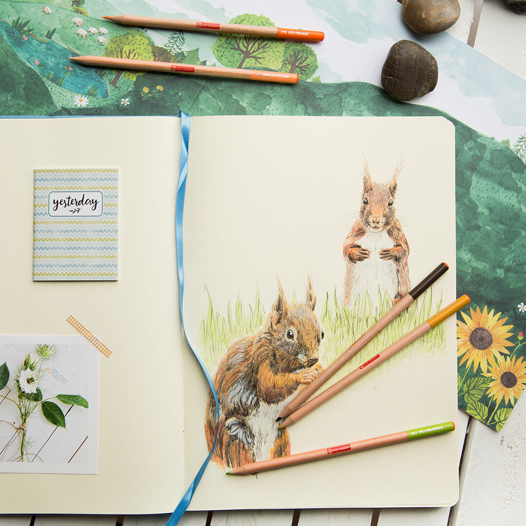 talens art creation kleurpotloden - 24st | 9028024M | 5