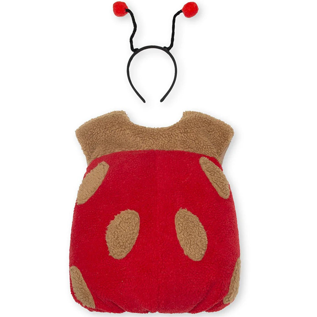 that-s-mine-kinderkostuum-lieveheersbeestje--3-jaar-089812722409 -1