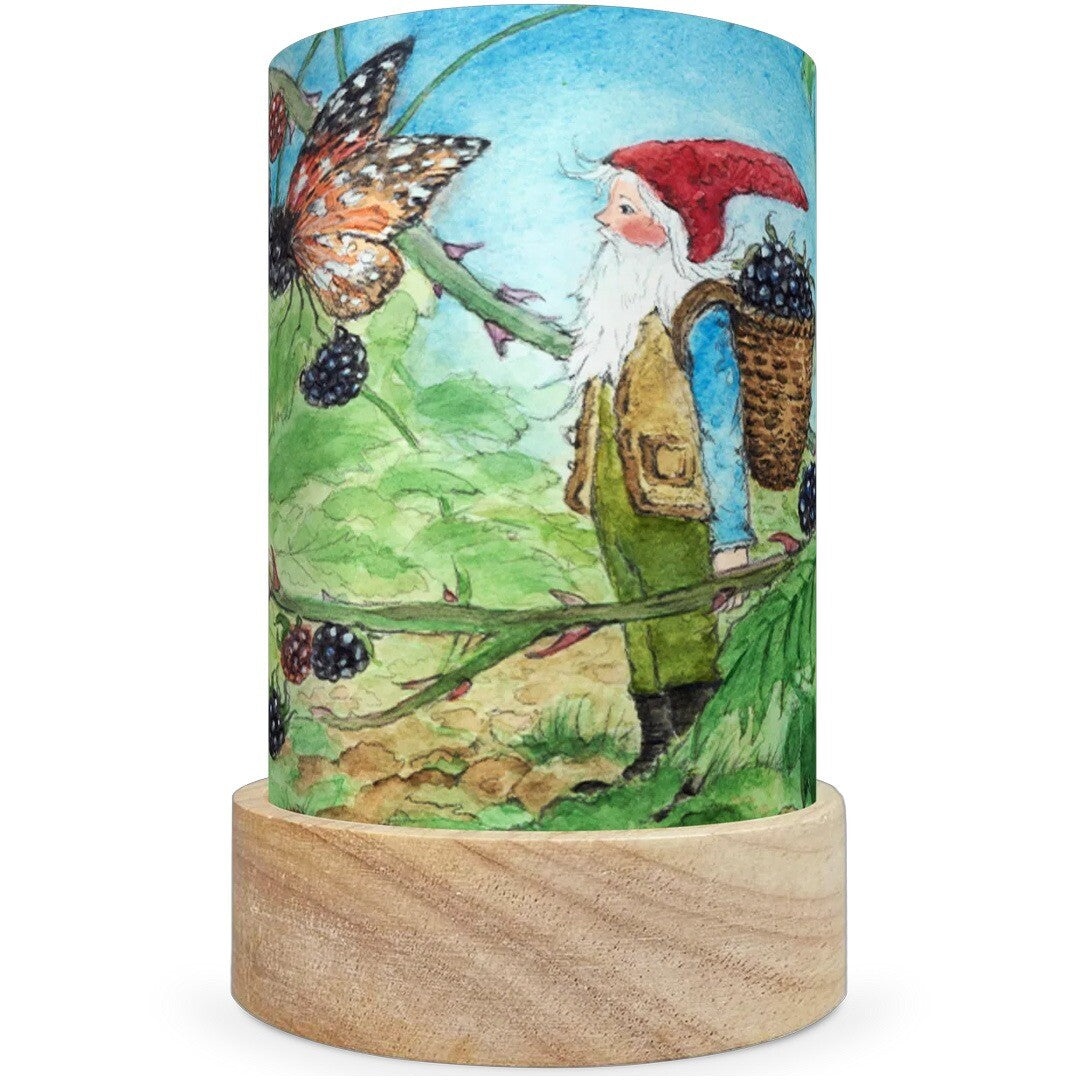 toverlux lichtkaarten voor lantaarn - george the gnome - 5st  | TS-SET-EVMG | 2