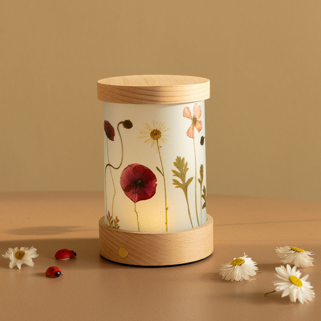 toverlux lichtkaarten voor lantaarn - droogbloemen - 5st | TS-SET-BK 0