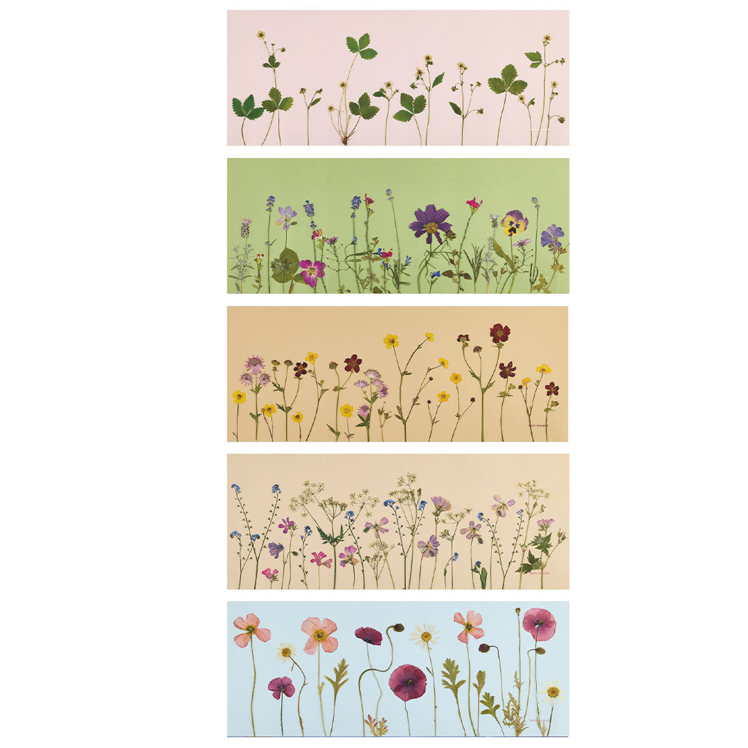 toverlux lichtkaarten voor lantaarn - droogbloemen - 5st | TS-SET-BK | 2