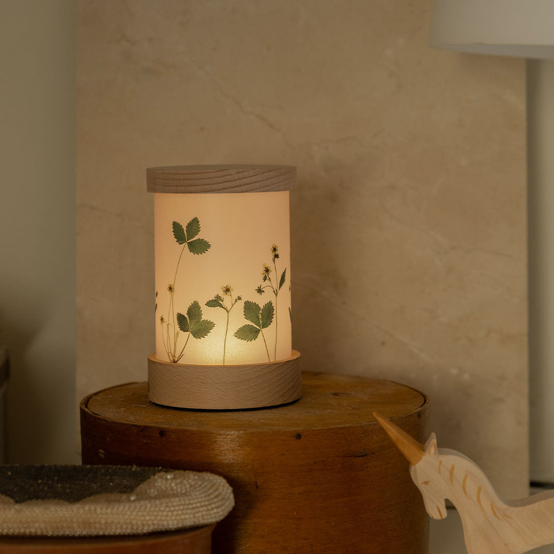 toverlux lichtkaarten voor lantaarn - droogbloemen - 5st | TS-SET-BK | 5
