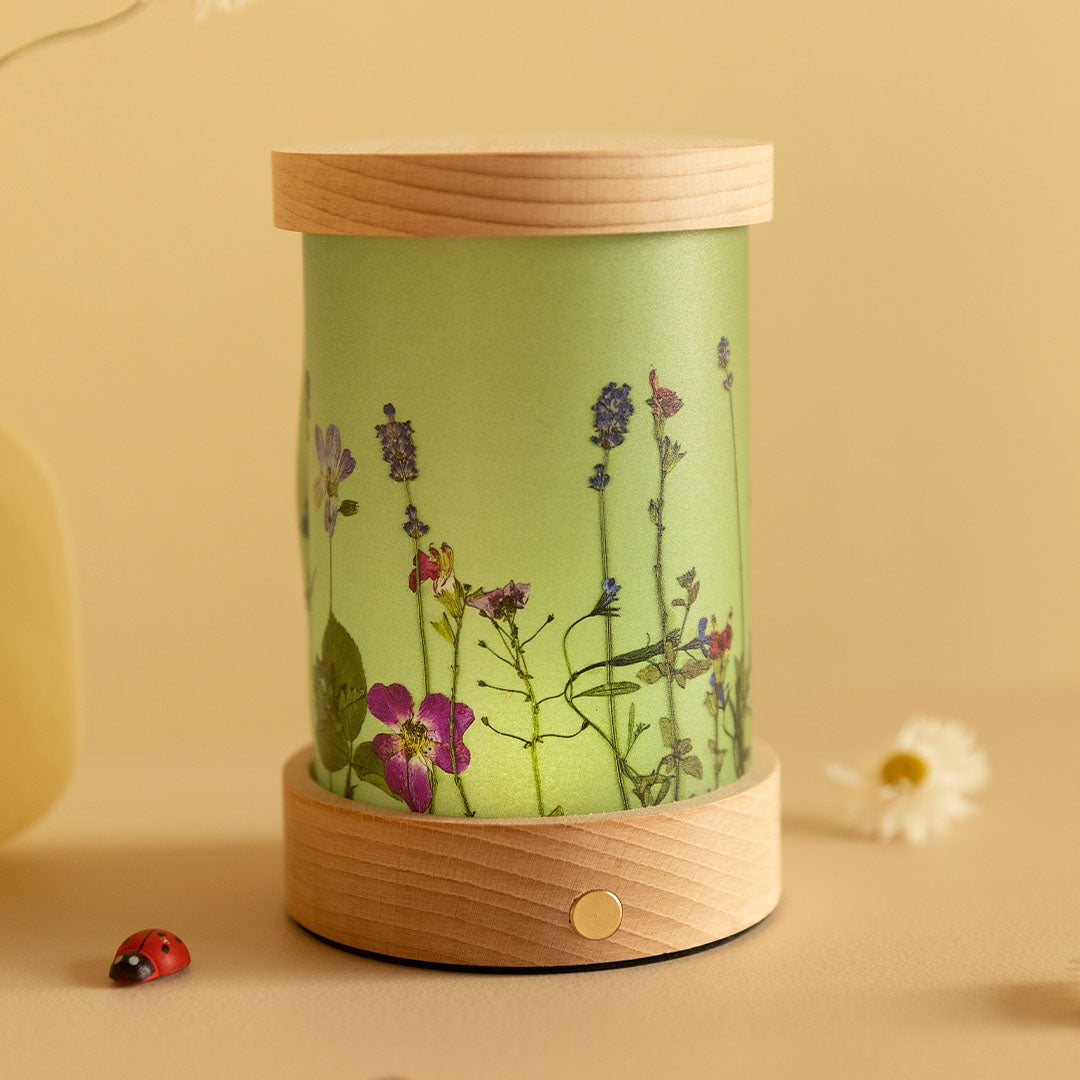 toverlux lichtkaarten voor lantaarn - droogbloemen - 5st | TS-SET-BK | 6