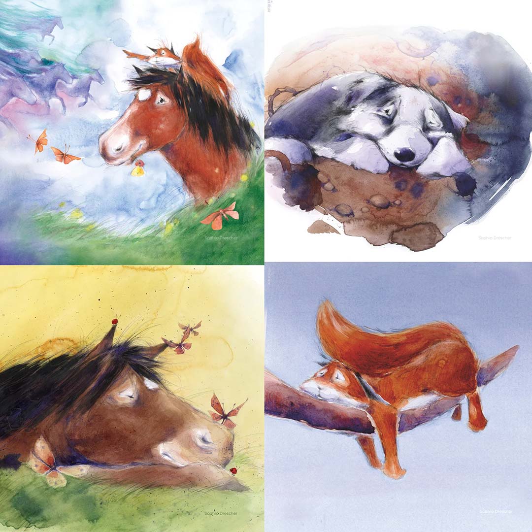 toverlux toverplaten voor toverlamp - hrókur en de hemelrijders - 4st | SL-RSR-SIL | 11