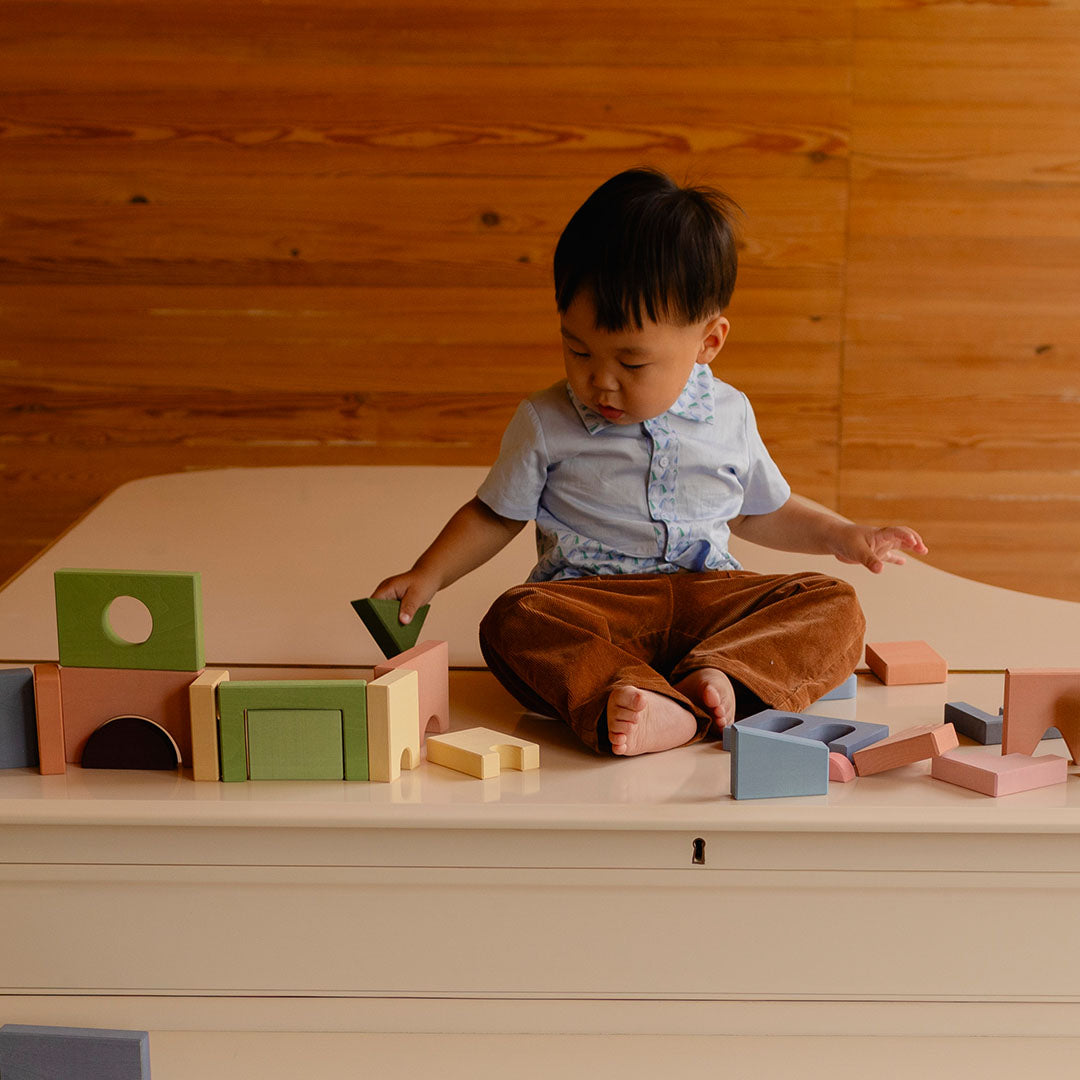 toyto bouwblokken blocks building blocks - 29st | TOY101 | 1