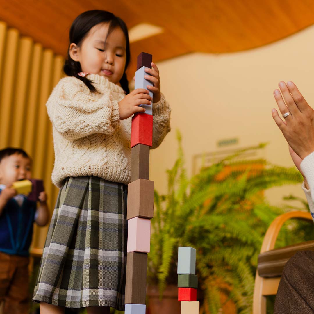 toyto bouwblokken rectangles - 22st | TOY203 | 2