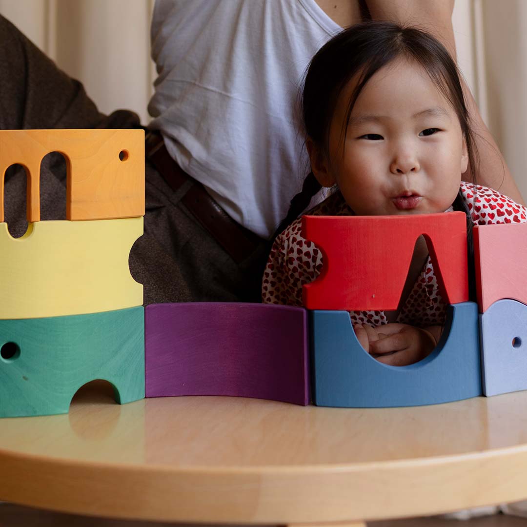 toyto bouwblokken storyboard rainbow - 8st | TOY401 | 5