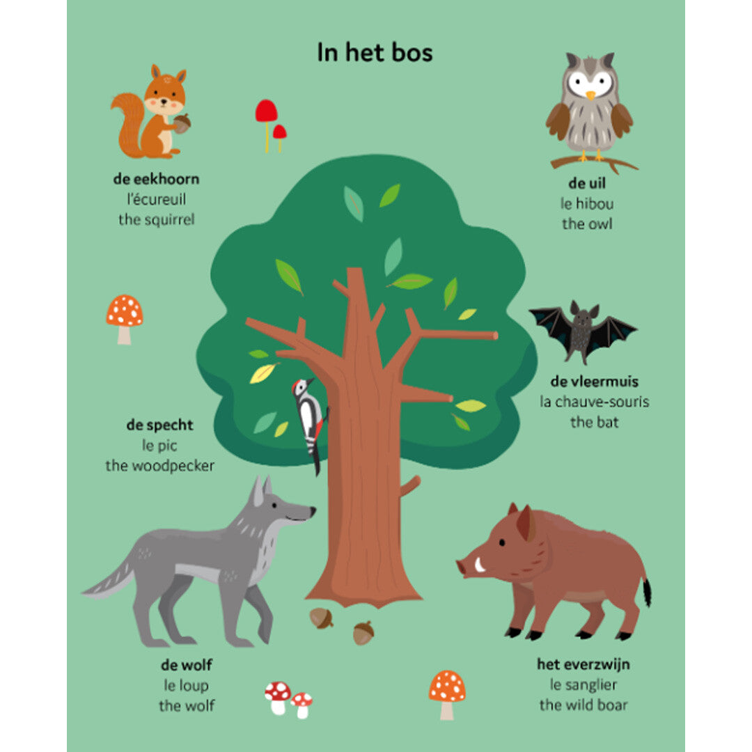 uitgeverij ballon mijn dierenboek nederlands, frans en engels | 1232236 | 1