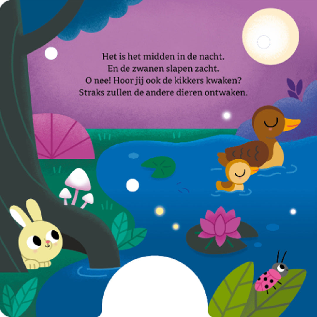 uitgeverij-ballon-mijn-lichtjesboek-dieren-in-de-nacht_3