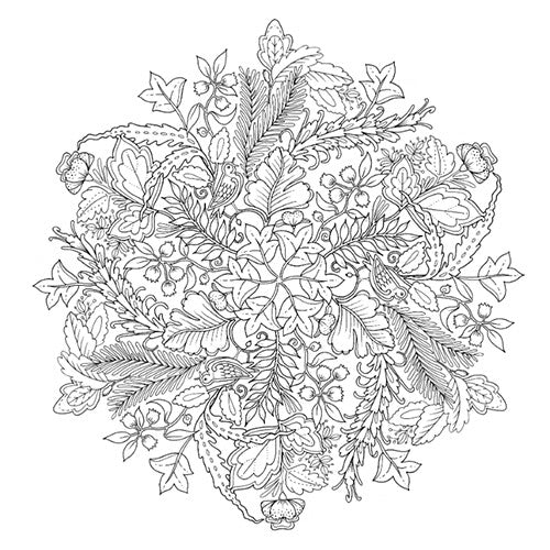 uitgeverij bbnc kleurboek natuurmandala's | 1351987 | 5