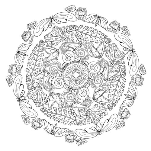 uitgeverij bbnc kleurboek natuurmandala's | 1351987 | 6