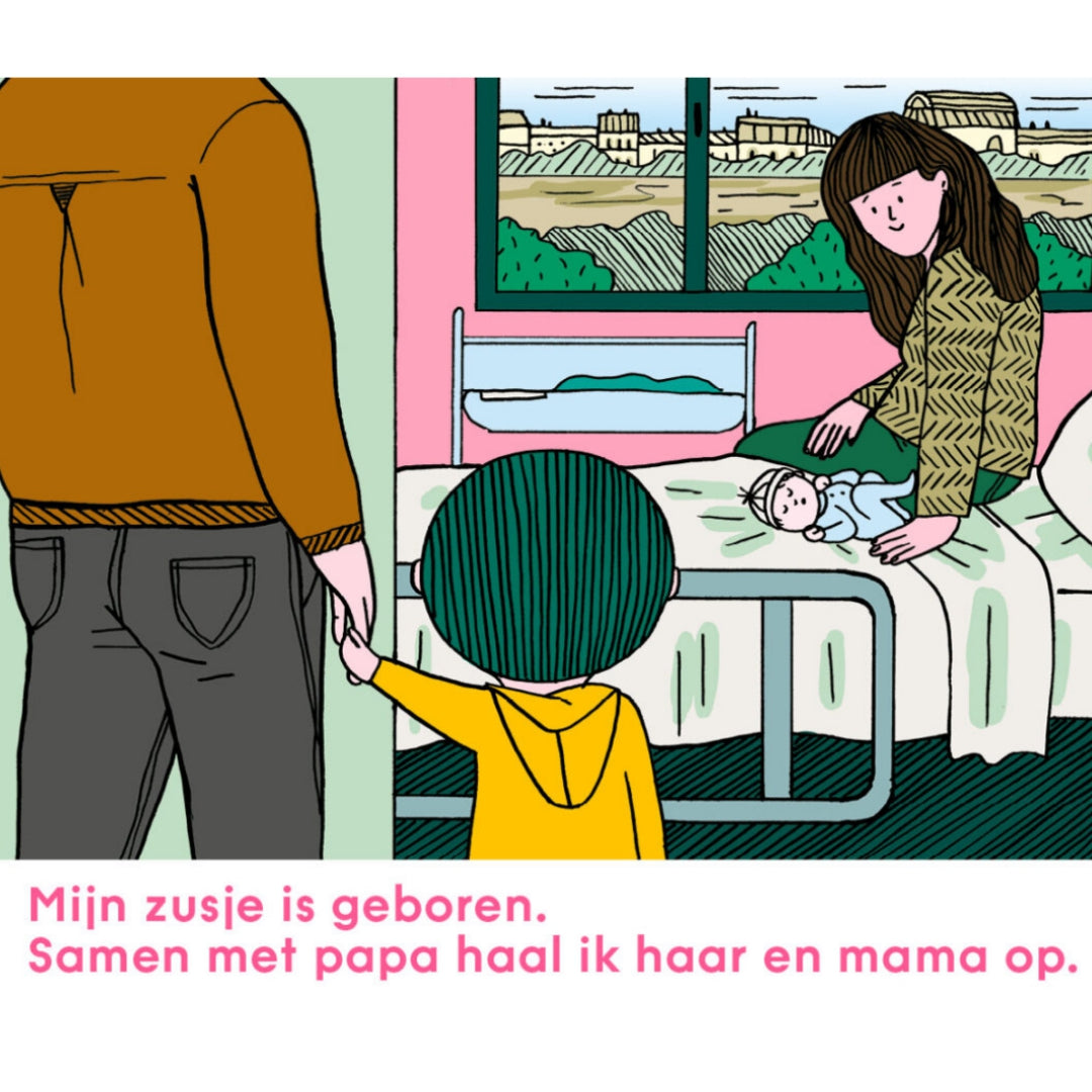 uitgeverij boycott mijn zusje is een diplodocus | 9789492986566 | 1