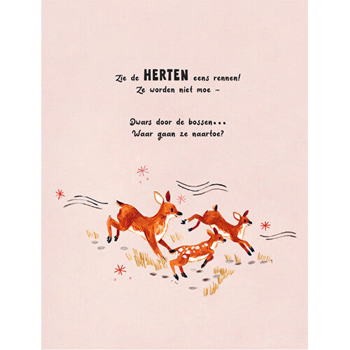 uitgeverij christofoor een woud vol wonderen | 1668704 | 3