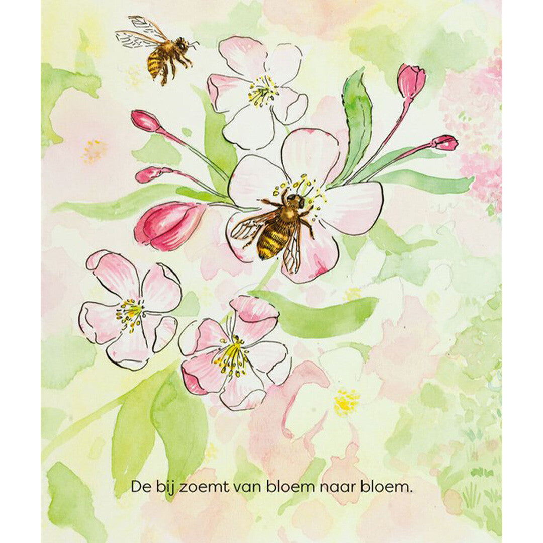 uitgeverij christofoor kartonboek lente | 1668960 | 1