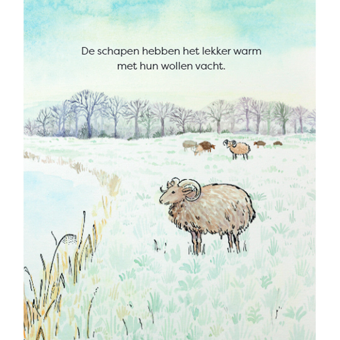 uitgeverij christofoor kartonboek winter | 1668982 | 2