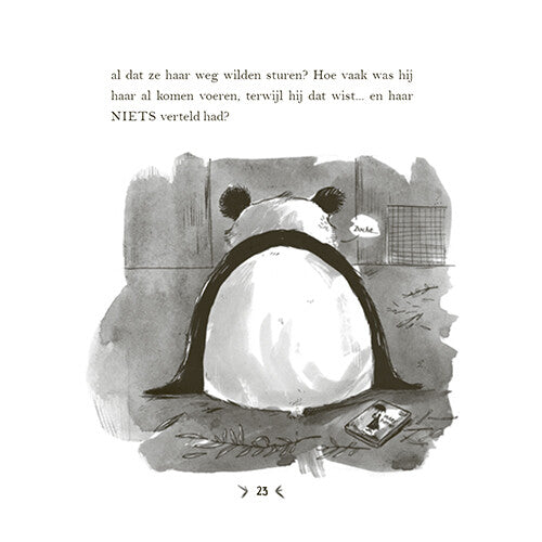 uitgeverij condor een panda voor mijn verjaardag | 1618979 | 14