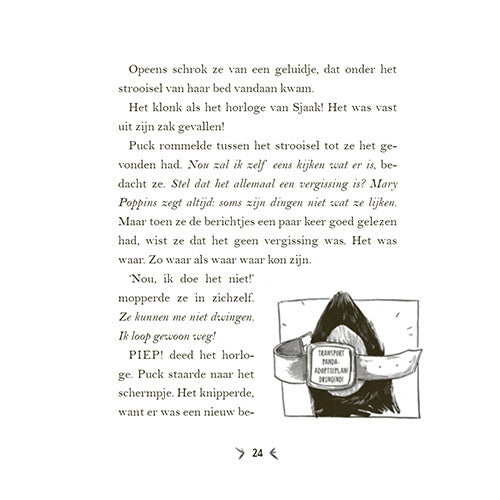 uitgeverij condor een panda voor mijn verjaardag | 1618979 | 15