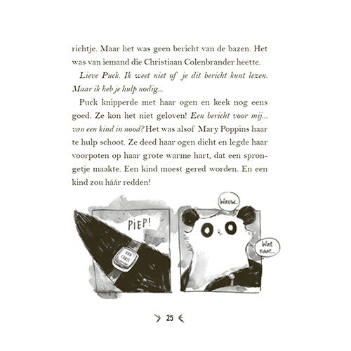 uitgeverij condor een panda voor mijn verjaardag | 1618979 | 16