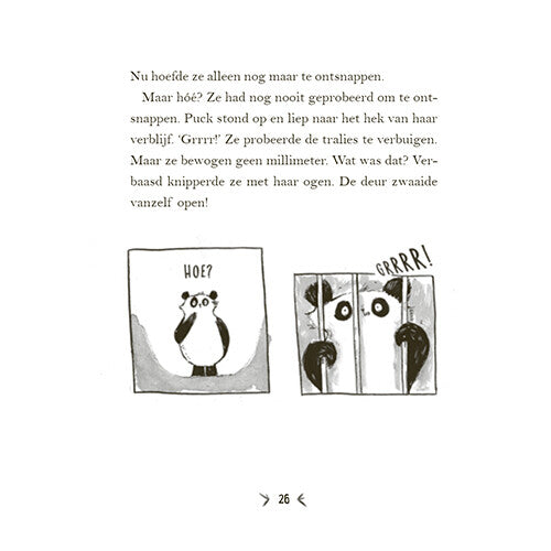 uitgeverij condor een panda voor mijn verjaardag | 1618979 | 17