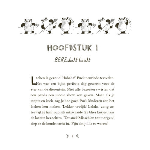 uitgeverij condor een panda voor mijn verjaardag | 1618979 | 2