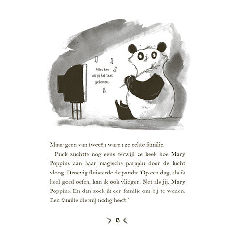 uitgeverij condor een panda voor mijn verjaardag | 1618979 | 4