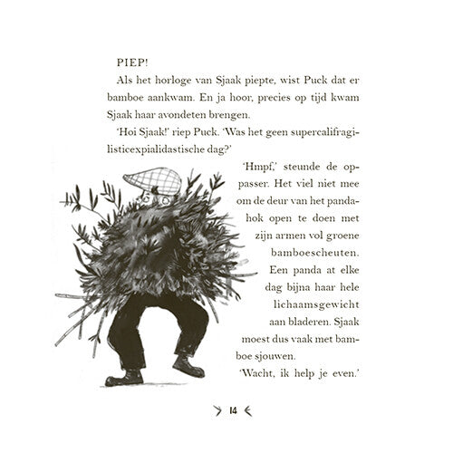 uitgeverij condor een panda voor mijn verjaardag | 1618979 | 5