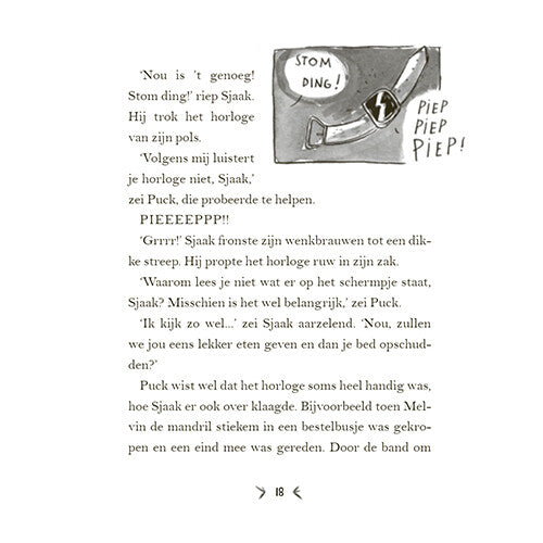 uitgeverij condor een panda voor mijn verjaardag | 1618979 | 9