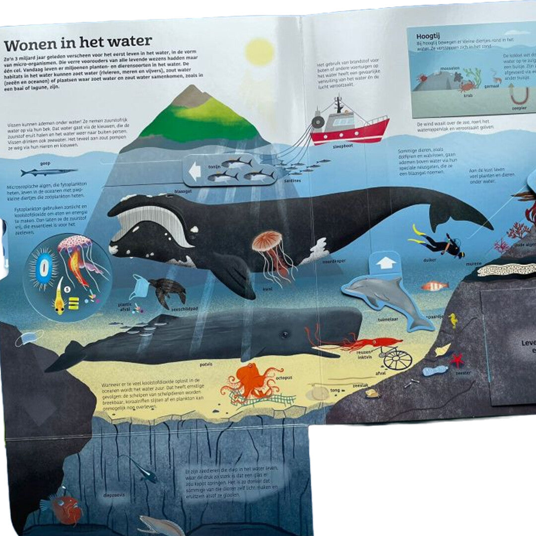 uitgeverij davidsfonds pop-upboek het grote boek over water | 1187561 | 2