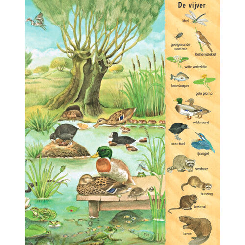 uitgeverij deltas kijk- en zoekboek bij het water | 0580697 | 2