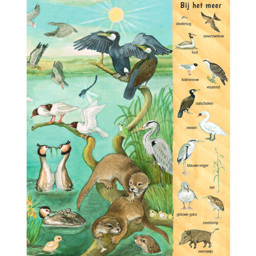 uitgeverij deltas kijk- en zoekboek bij het water | 0580697 | 4