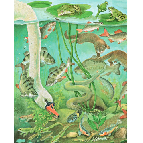 uitgeverij deltas kijk- en zoekboek bij het water | 0580697 | 5