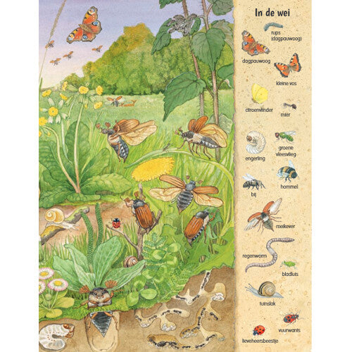 uitgeverij deltas kijk- en zoekboek kriebeldiertjes | 0580696 | 2