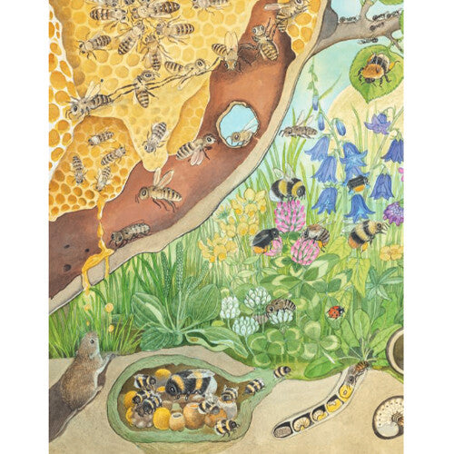 uitgeverij deltas kijk- en zoekboek kriebeldiertjes | 0580696 | 3