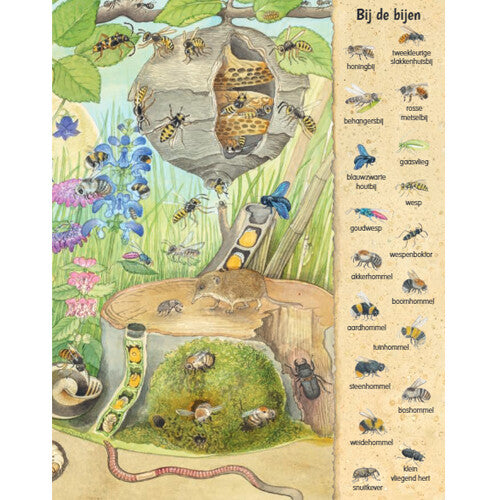 uitgeverij deltas kijk- en zoekboek kriebeldiertjes | 0580696 | 4