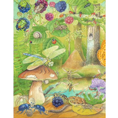 uitgeverij deltas kijk- en zoekboek kriebeldiertjes | 0580696 | 5