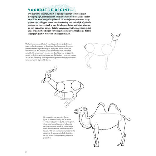 uitgeverij deltas stap voor stap dieren leren tekenen | 0101946 | 2
